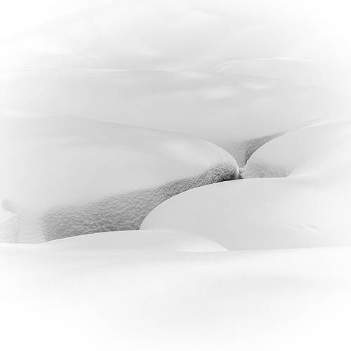 White Powder