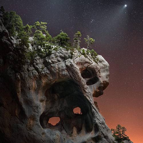 Eternal Gaze - Photography Winner