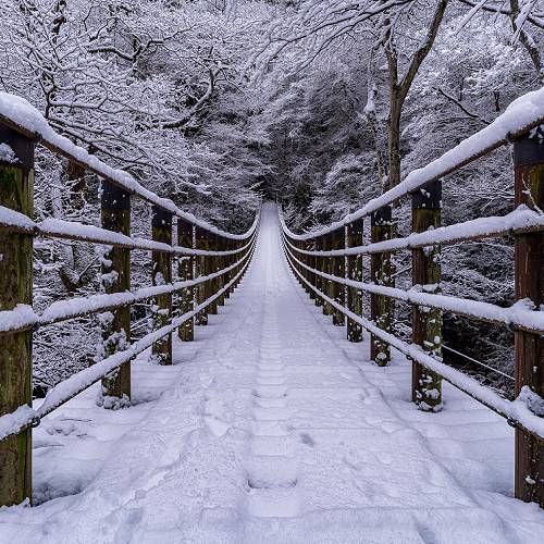 Monochrome
