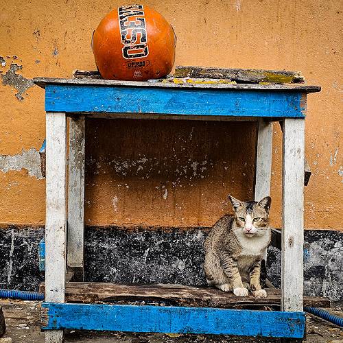 MUSE Photography Awards Silver Winner - No Home in Sight by Bodhisatta Maiti