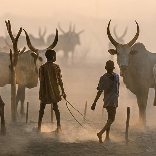 2026 MUSE Photography Winner - Transcendence - between two worlds by Trevor Cole