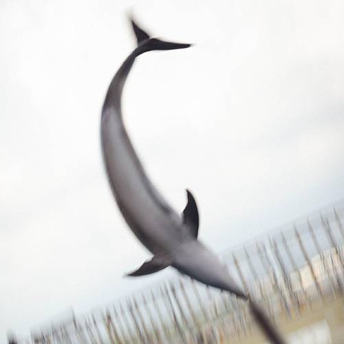 A moment of jubilation