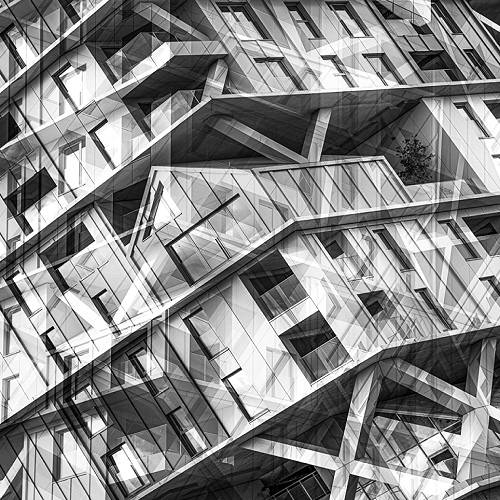 Award-winning photograph Hoost by H.H.van.den.Ham, 2026 MUSE Photography Awards Silver Winner