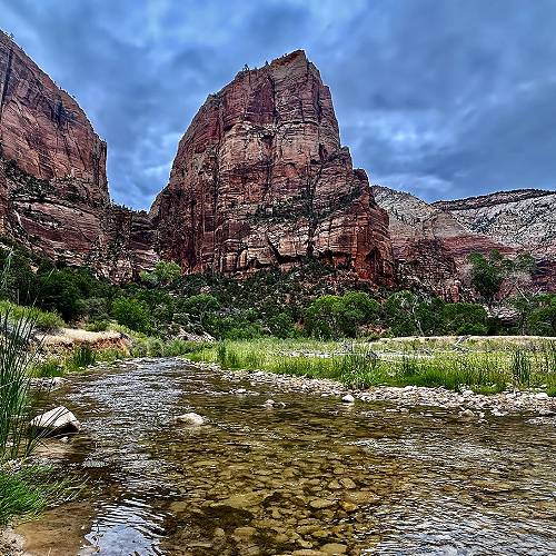 Award-winning photograph Looking Up Towards Angel's Landing by Pamela Peters, 2026 MUSE Photography Awards Silver Winner