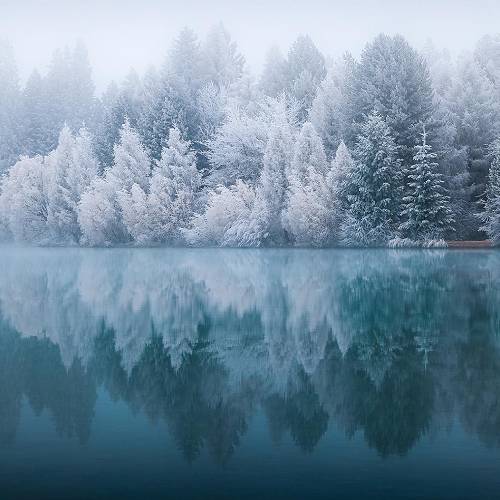 2026 MUSE Photography Winner - Aqua Frost by Brett Wood