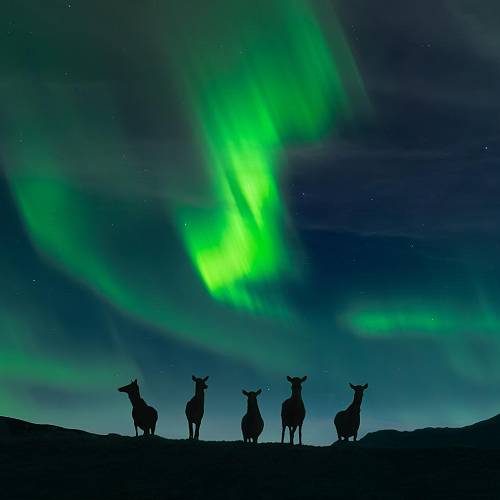 2026 MUSE Photography Winner - Edge of Night by Jason Marino