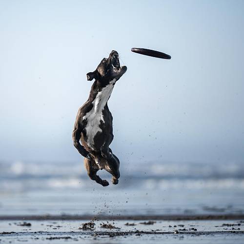 2026 MUSE Photography Winner - All In  by Tracey McIntosh