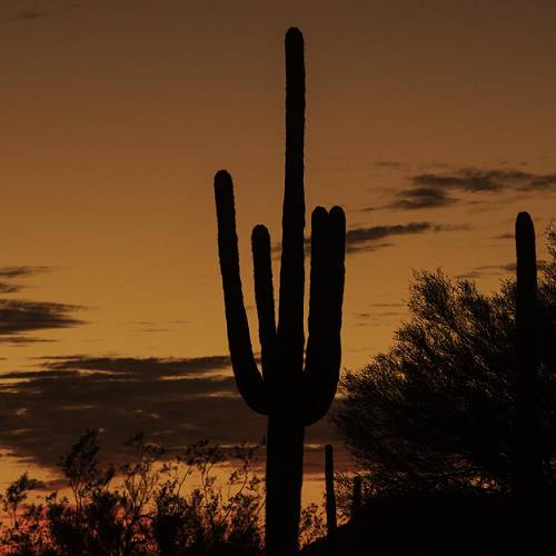 Award-winning photograph Salt River Sunset by Russell Trozera, 2026 MUSE Photography Awards Silver Winner