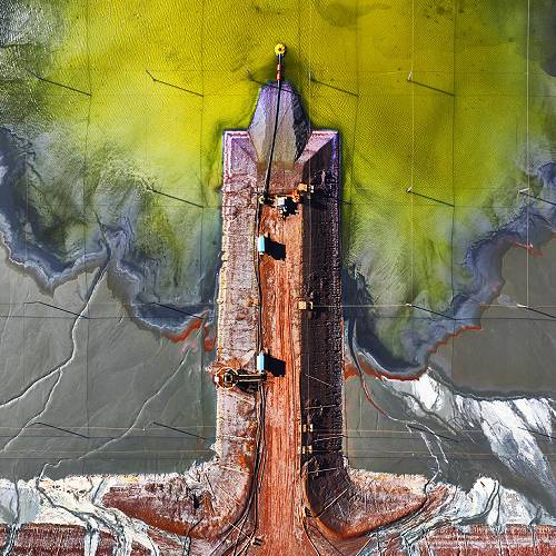 2026 MUSE Photography Winner - Bonsai by Mark Gray