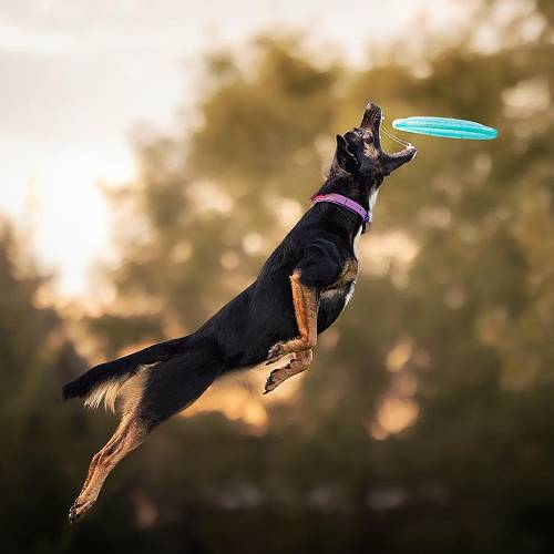 2026 MUSE Photography Winner - Jumping for Joy by Lauren Sumida