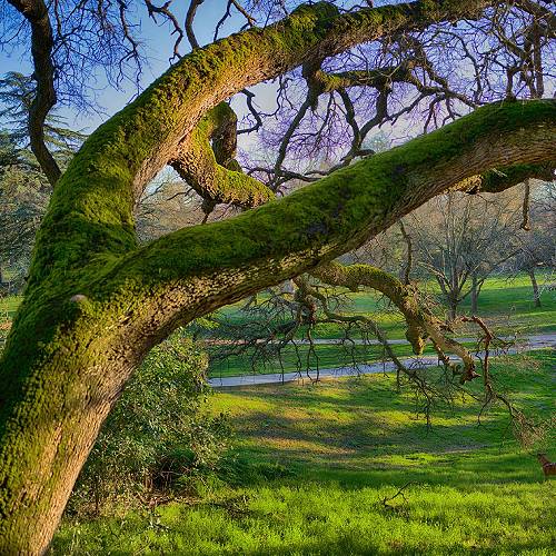 Award-winning photograph Effie Yeaw Nature Center by Mark Yashninsky, 2026 MUSE Photography Awards Silver Winner