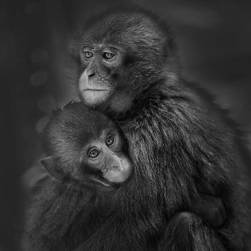 2026 MUSE Photography Winner - We Call That, Love by Yushi Kaisyakuji