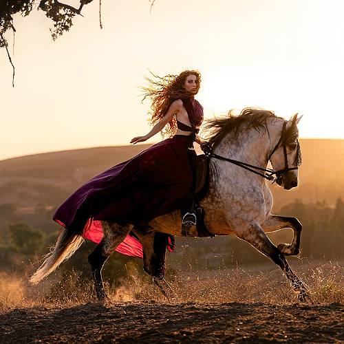 Award-winning photograph Flight in Dusk's Embrace by Cat McKenna, 2026 MUSE Photography Awards Gold Winner