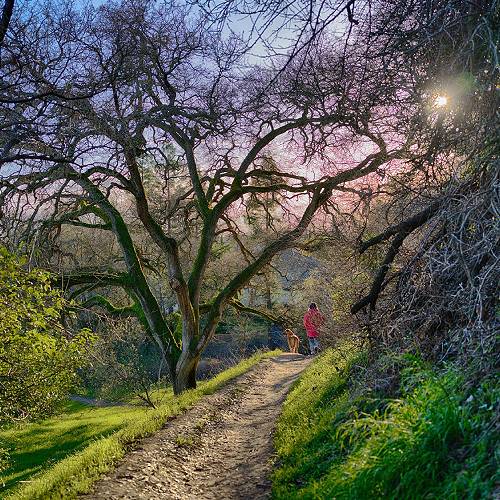 Award-winning photograph Effie Yeaw Nature Center by Mark Yashinsky, 2026 MUSE Photography Awards Silver Winner