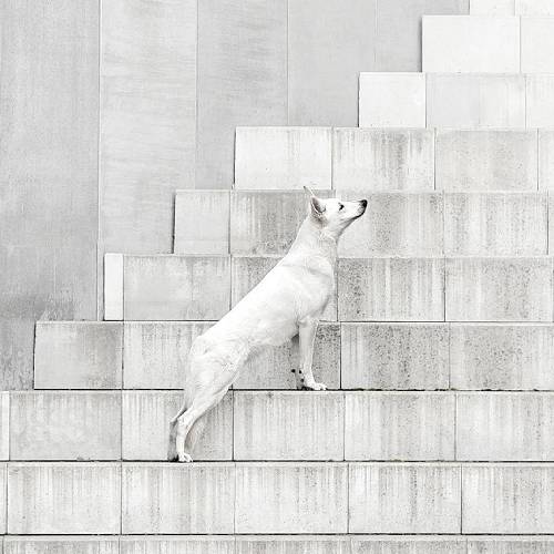 Award-winning photograph The Shape of Stillness by Denisa Zbranková Albaniová, 2026 MUSE Photography Awards Silver Winner