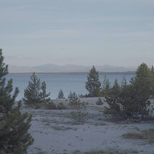 Award-winning photograph Oasis by Jingyi Zhang, 2026 MUSE Photography Awards Silver Winner