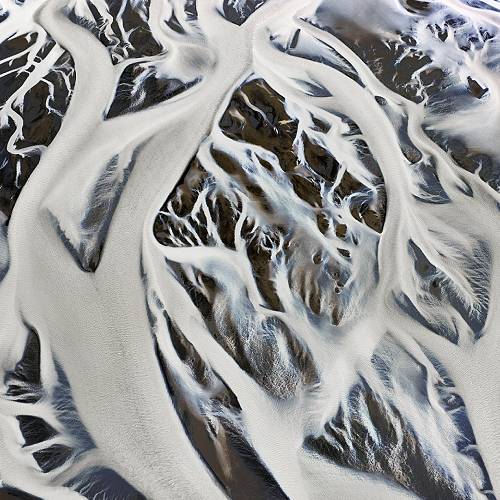 2026 MUSE Photography Winner - Entangled by Mark Gray