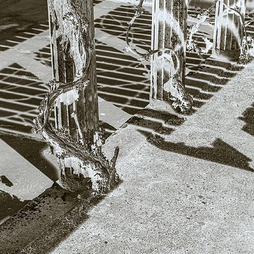 Tendrils in Reversed Light