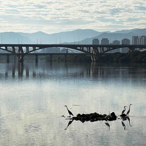 Ink Wash Horizon: The Urban Serenity