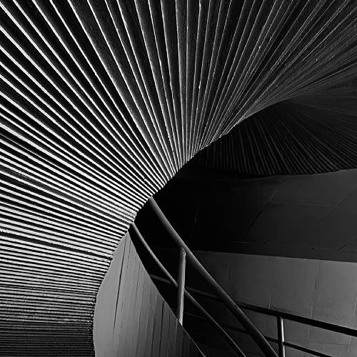 Award-winning photograph Accordion by vera regina banderia, 2026 MUSE Photography Awards Silver Winner