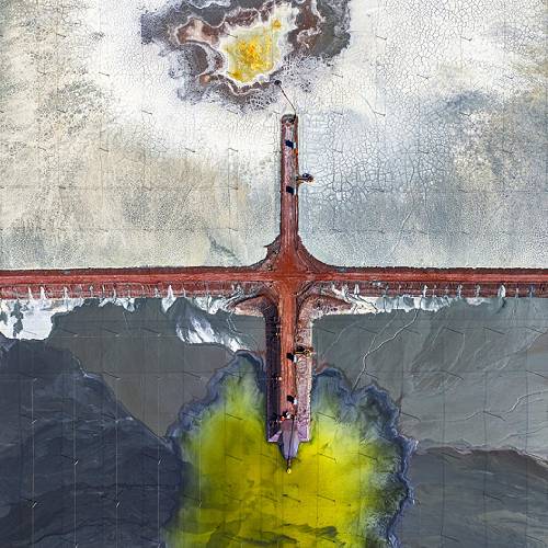 Award-winning photograph Primordial by Mark Gray, 2026 MUSE Photography Awards Gold Winner