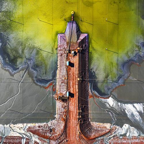 Award-winning photograph Bonsai by Mark Gray, 2026 MUSE Photography Awards Gold Winner