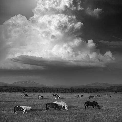 An Afternoon's Drama