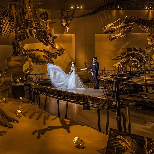 Award-winning photograph A Jurassic Dream Come True by RINTARO UKON, 2026 MUSE Photography Awards Gold Winner