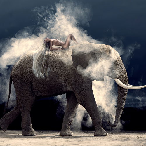 MUSE Photography Awards Silver Winner - Nude Elephant Dust by Cheraine Collette