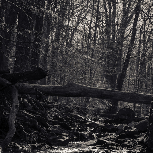 MUSE Photography Awards Silver Winner - Bridge over Troubled Water by Gregory Coutros