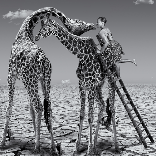 MUSE Photography Awards Silver Winner - How to kiss a giraffe  by ARUN MOHANRAJ