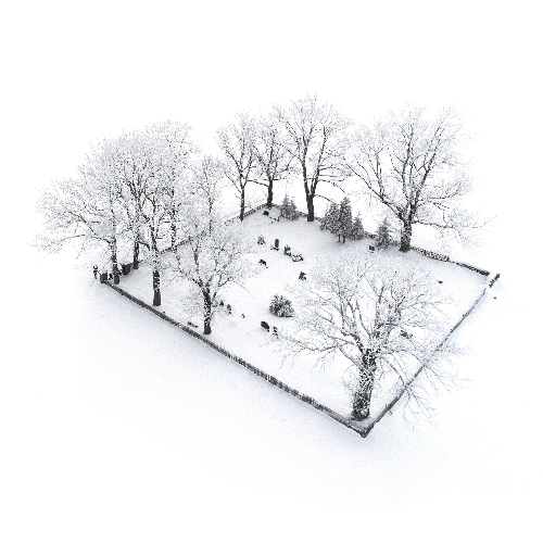 MUSE Photography Awards Silver Winner - Cemetery by Tomáš Neuwirth