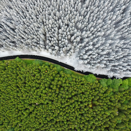 MUSE Photography Awards Silver Winner - Road Between Seasons by Tomáš Neuwirth
