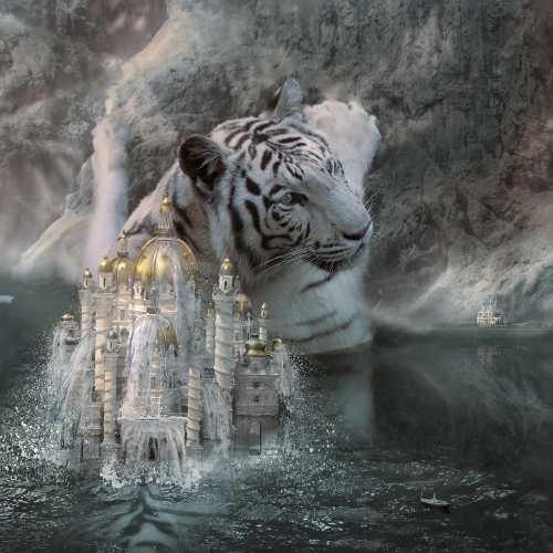 MUSE Photography Awards Silver Winner - The Year Of The Water Tiger by Cheraine Collette