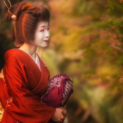 The Four Seasons in Autumn 秋の四季 - Photography Winner