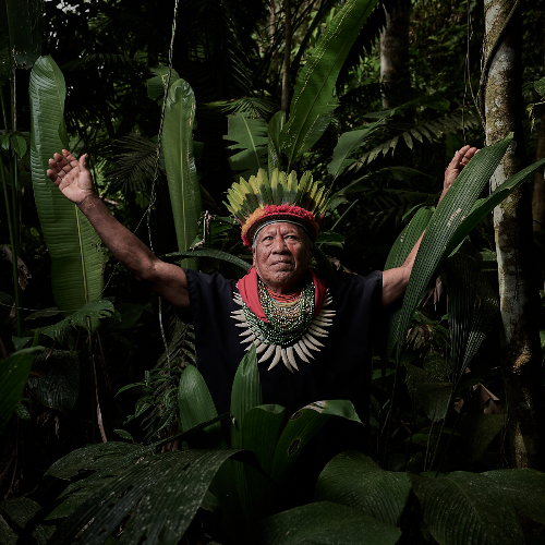 MUSE Photography Awards Category Winners of the Year Winner - Tribes of the Ecuadorian Amazon at a life crossroads by Marios Forsos