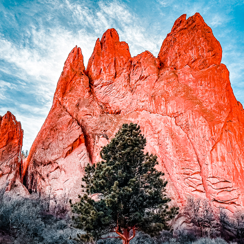 MUSE Photography Awards Gold Winner - Garden of the Gods by Ashlee Eakin