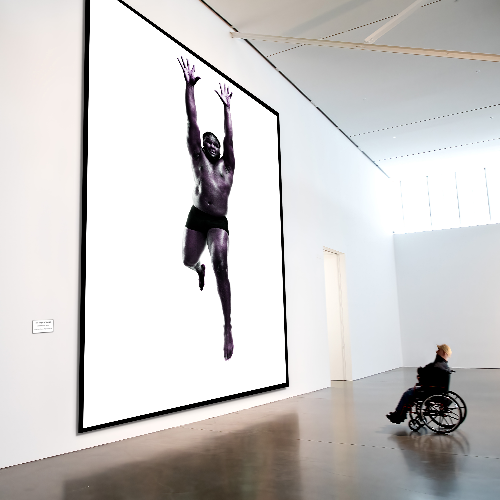 MUSE Photography Awards Silver Winner - The Installations Project by Howard Schatz