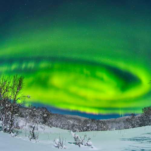 MUSE Photography Awards Platinum Winner - Dreamy aurora by Shirley Wung