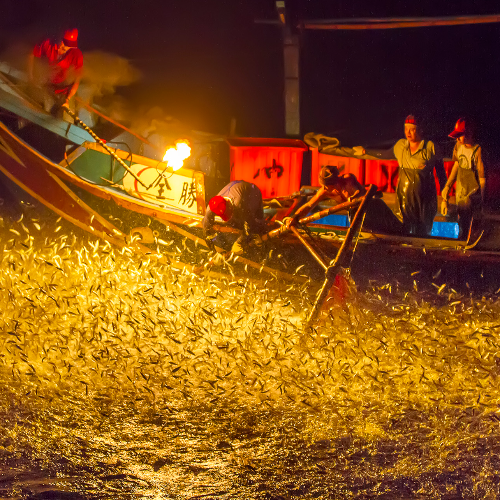 MUSE Photography Awards Gold Winner - Ancient sulfur fire fishing method by Shang yao-yuan