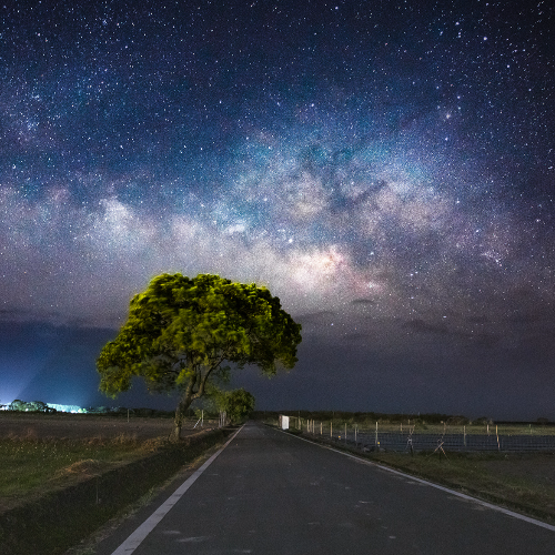 MUSE Photography Awards Platinum Winner - Milky Way on the tree by Shang yao-yuan