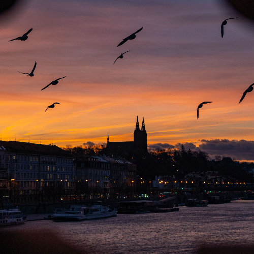 MUSE Photography Awards Gold Winner - Through bridge  by Eliska Popikova