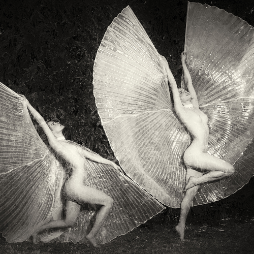 Emergence of a butterfly - Photography Winner
