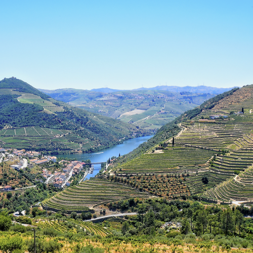 MUSE Photography Awards Silver Winner - Douro Valley by Glenn Goldman