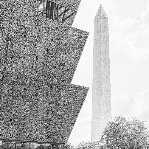 MUSE Photography Awards Silver Winner - On the Mall by Glenn Goldman
