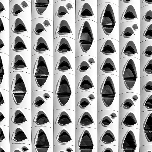 MUSE Photography Awards Gold Winner - Open Mouths by Glenn Goldman