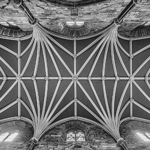 MUSE Photography Awards Silver Winner - Vaulting, St. Giles' Cathedral by Glenn Goldman