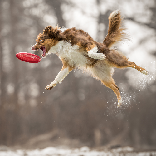 MUSE Photography Awards Gold Winner - Defying Gravity by Lucie Nermutova
