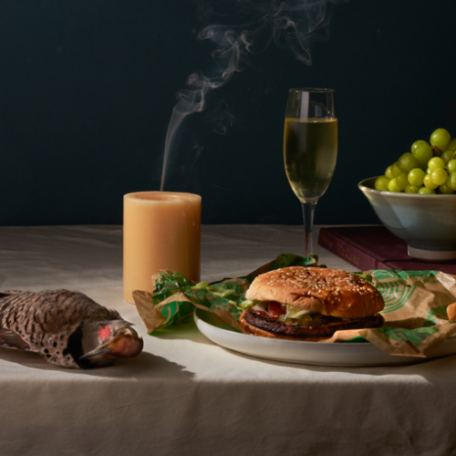 MUSE Photography Awards Gold Winner - Modern Vanitas #7 by Liz Obert