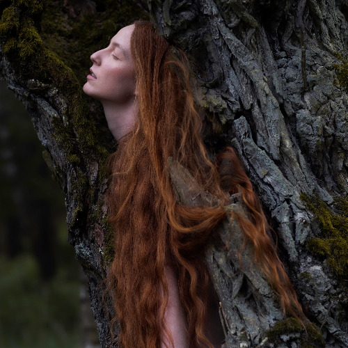 MUSE Photography Awards Gold Winner - Rustling willows by Izabella Sapuła